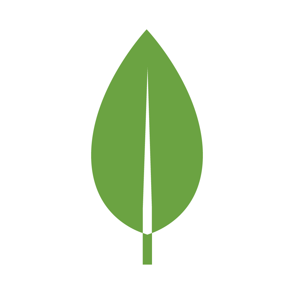mongodb.png